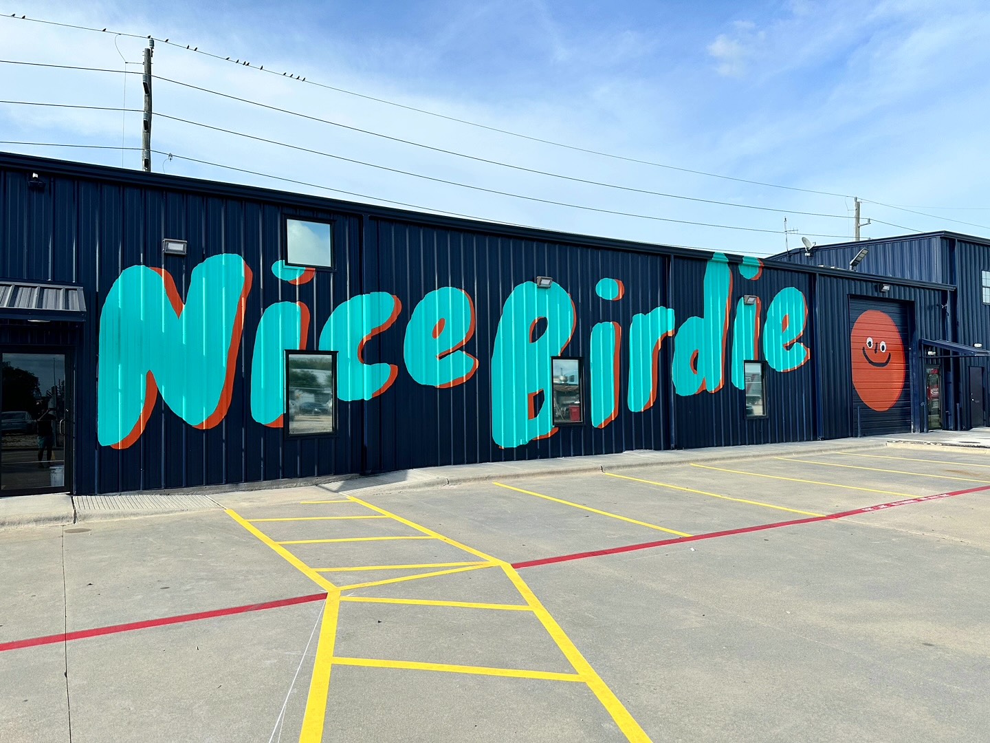 Nice Birdie - Golf Simulator in Katy