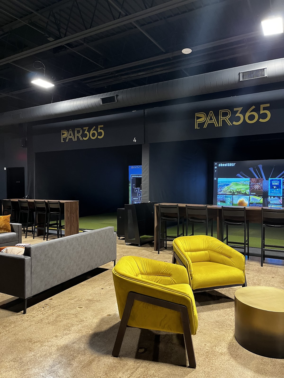 PAR365 - Golf Simulator in Roseville